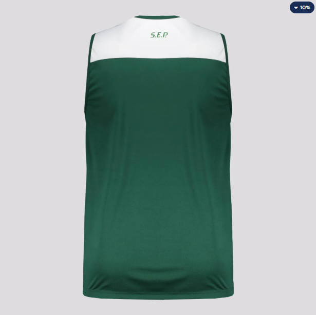 Regata Palmeiras Player II Verde