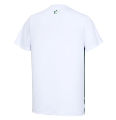 Camiseta Betel Palmeiras Player II - Masculina