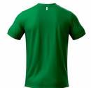 Camiseta Palmeiras Santidade de São Marcos Masculina - Verde