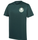 CAMISETA BETEL PALMEIRAS PLAYER II MASCULINA - VERDE P - Verde